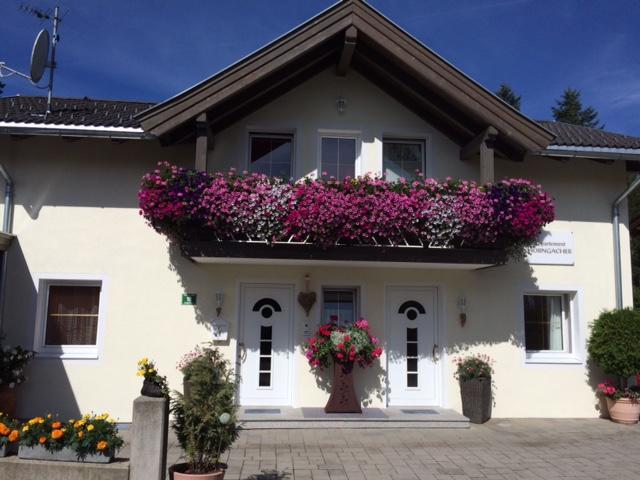 Appartement Horngacher Scheffau am Wilden Kaiser Exterior photo