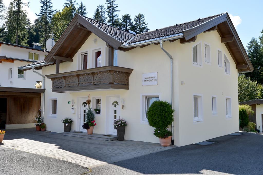 Appartement Horngacher Scheffau am Wilden Kaiser Exterior photo